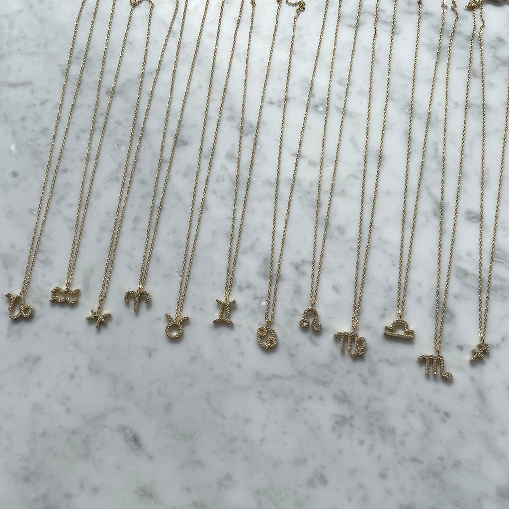 Soar Zodiac Necklace